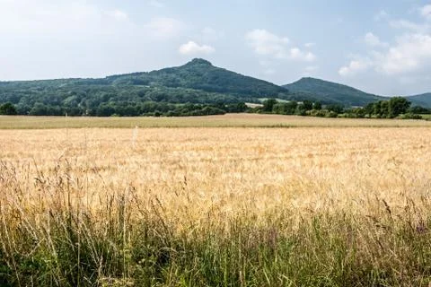 Field with isolated hills on the background Stock Photos