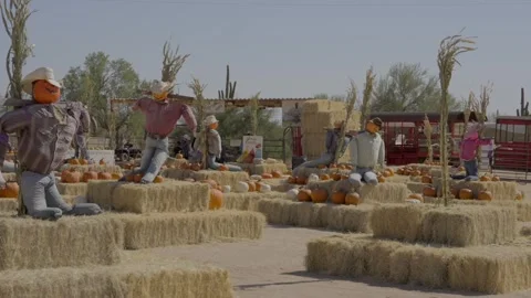 Field of jack o lantern scare crows Stock Footage 287643448