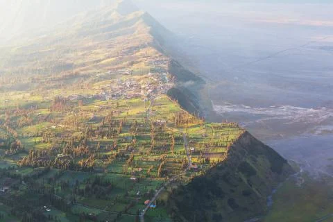 Field in java Fotos Stock