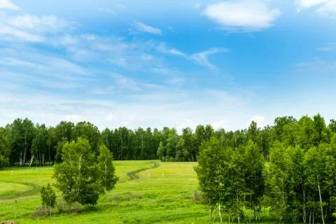 Field in June 스톡 사진