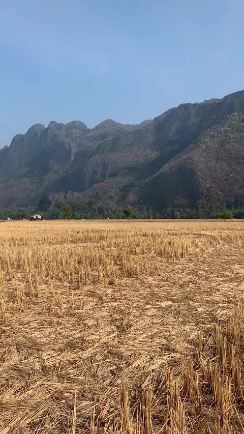 Field in Kong Lor Stock Footage 343178293