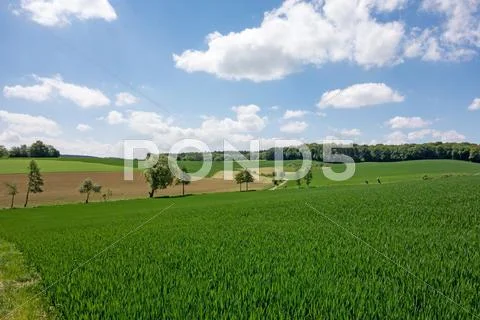 Field in the kraichgau Stock Photos