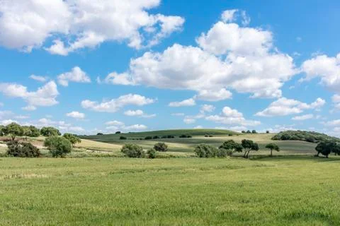 Field landscape and clouds Stock Photos