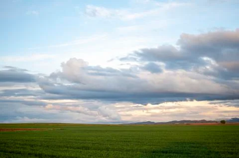 Field landscape with clouds in the sky Stock Photos