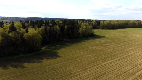 Field landscape Stock Footage 130144374