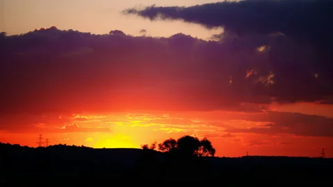Field landscape nature sun Stock Footage 101016464