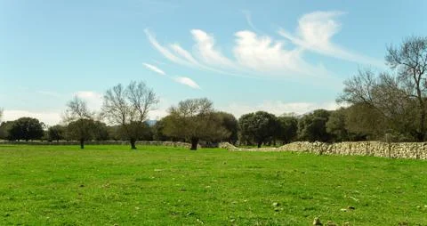 Field landscape Stock Photos