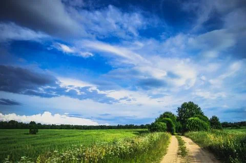 Field landscape Stock Photos