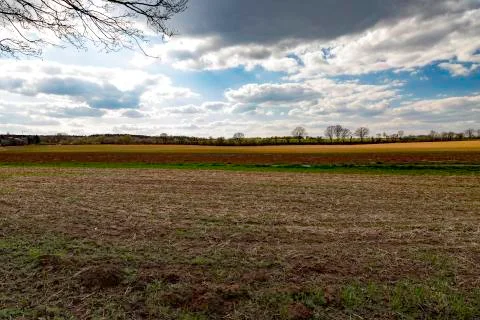 Field landscape Foto stock
