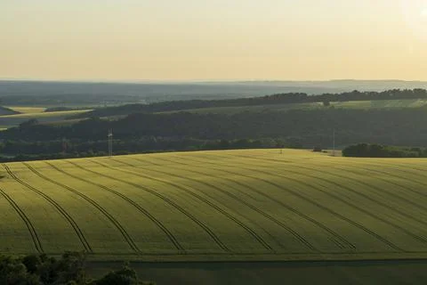Field Landscape Photos