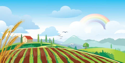 Field landscape with rainbow Stock Illustration