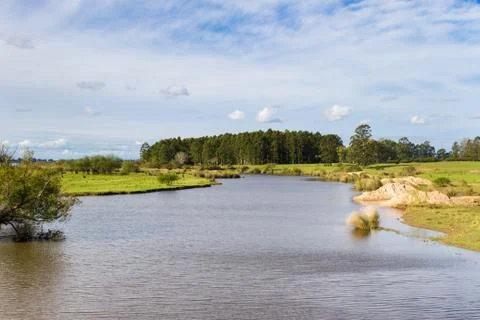 Field landscape with stream and eucalyptus afforestation in Federacion Entre  Stock Photos