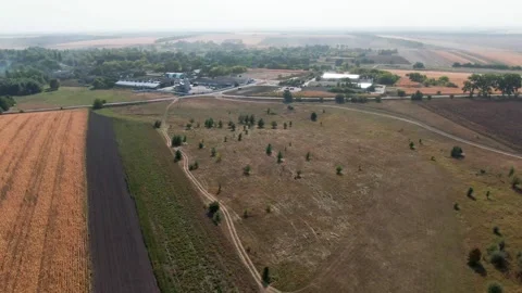 Field landscapes. fields of corn. aerial. golden corn. Видео 141006462