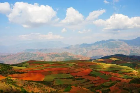 Field landscapes Stock Photos