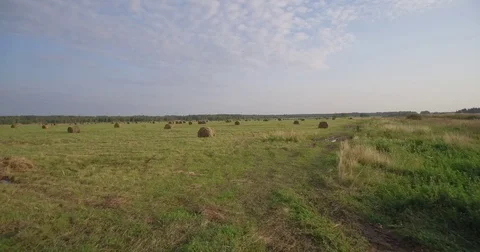 Field of large hay bales, low flying aerial 库存影片 80629531