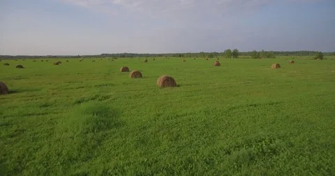 Field of large hay bales, low flying aerial Stock Footage
