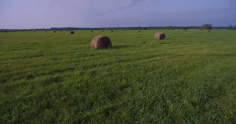 Field of large hay bales, low flying aerial 库存影片 80631085