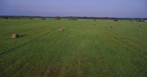 Field of large hay bales, low flying aerial Видео 80631190