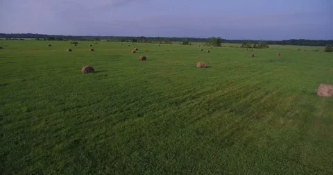 Field of large hay bales, low flying aerial Video stock 80631382