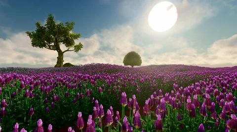Field of lavender with green trees and beautiful sky in the background Stock Illustration