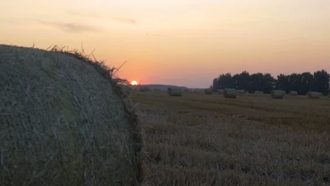 In the field lie haystacks. Video stock 79984753