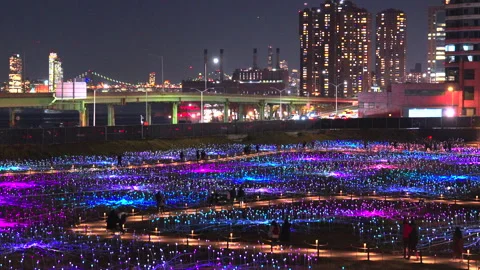 “Field of Light” Art Installation glows at Freedom Plaza in New York City Stock Footage 259127315