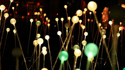 Field of lights decorations Stock Footage 39502651