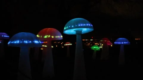 Field of lights decorations -Mushroom 動画素材 50160742