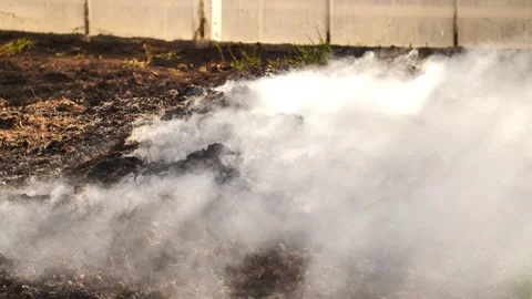 The field with a line of fire. Stock-Footage 237871879