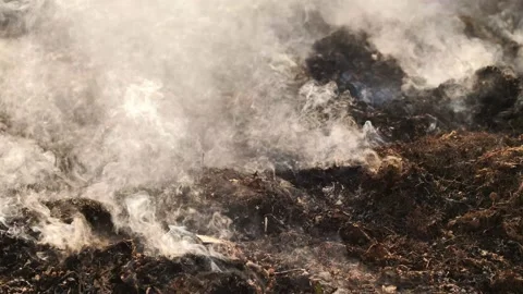 The field with a line of fire. Stock-Footage 237871880