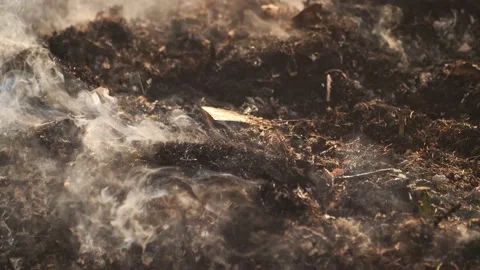 The field with a line of fire. Stock-Footage 237871884