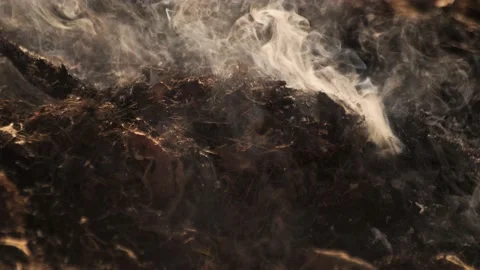 The field with a line of fire. Stock-Footage 237871885