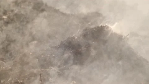 The field with a line of fire. Stock-Footage 237871890