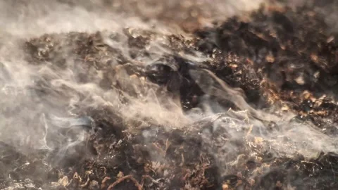 The field with a line of fire. Stock-Footage 237871901