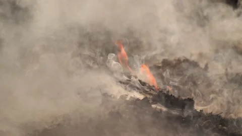 The field with a line of fire. Stock-Footage 237871906