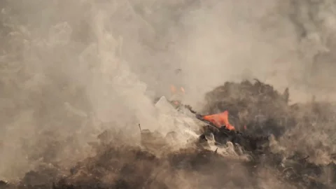 The field with a line of fire. 動画素材 237871910