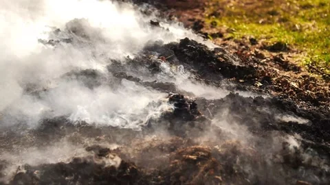 The field with a line of fire. Stock Footage 237871912