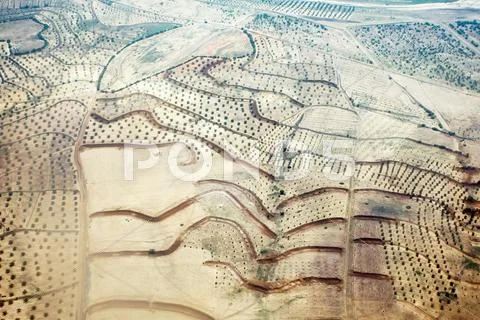 Field lines Stock Photos