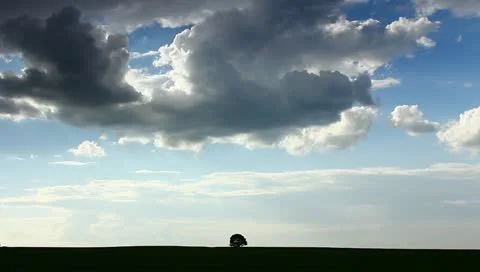 The field, lonely tree, clouds time lapse Stock Footage 11067424