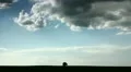 The field, lonely tree, clouds time lapse HD Footage