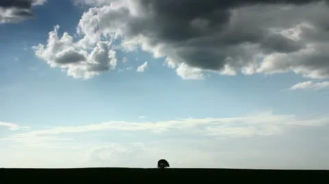 The field, lonely tree, clouds time lapse Stock Footage 11114932
