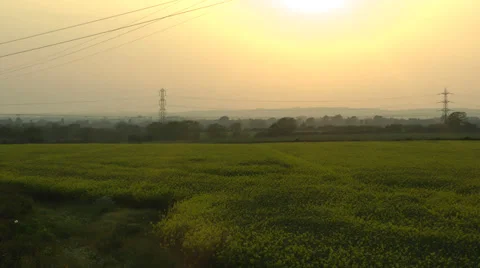 Field looking into sunset 库存影片 39196086