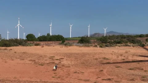 Field with many wind turbines Stock Footage 239073689