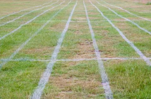 Field marked out with parallel running lanes for athletics events Stock Photos