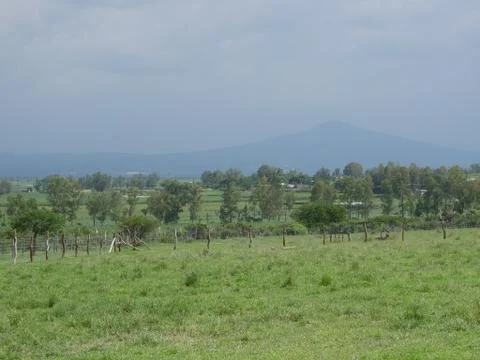 Field in Mexico 库存照片