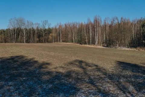 Field in a middle of forest Stock Photos