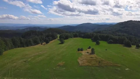 Field in the middle of forrest - Drone shot Stock Footage 247848688