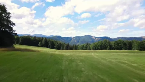 Field in the middle of forrest - Drone shot Stock Footage 247848689