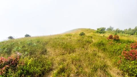 Field with misty on mountain Stock Photos