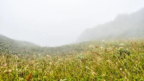 Field with misty on mountain Stock Photos